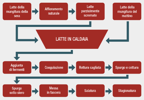 Schema Processo di produzione