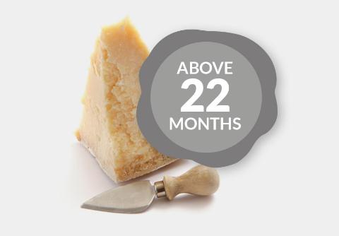 Silver Stamp: Parmigiano Reggiano aged for more than 22 months.